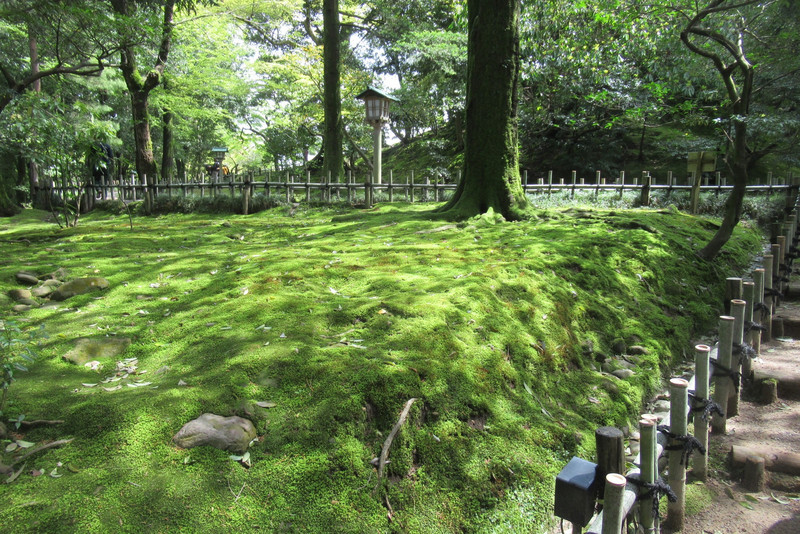 Moss at Kenrokuen Gardens, Kanazawa