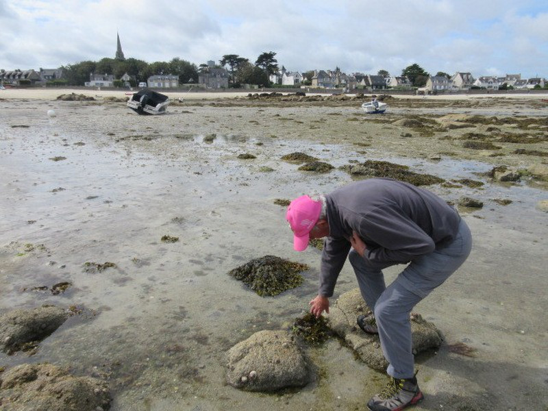 Chris looking for Crevettes