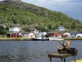 Petty Harbour (2)