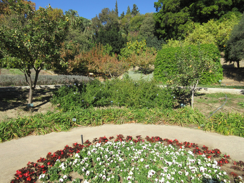 Malaga Botanical Garden (2)