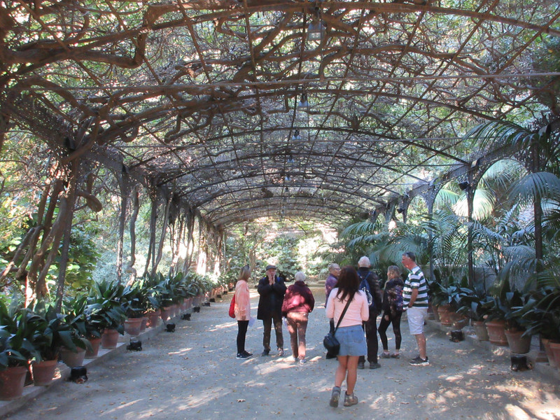 Malaga Botanical Garden (3)