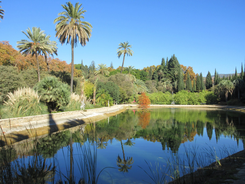 Malaga Botanical Garden