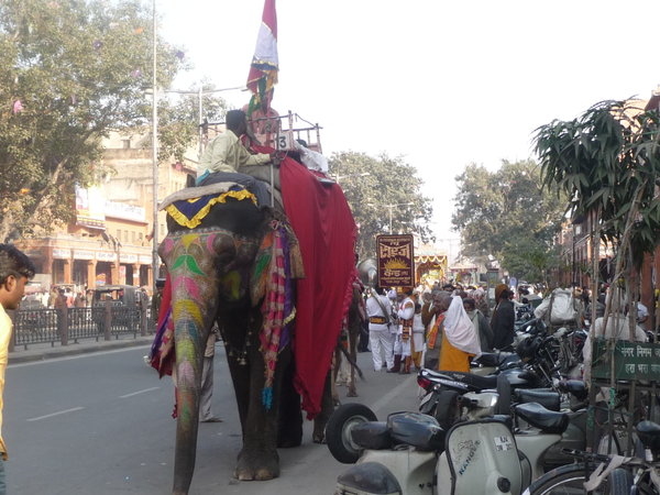Procession in Jaipur