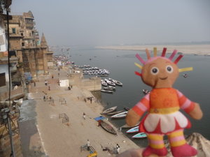 Daisy at Varanasi