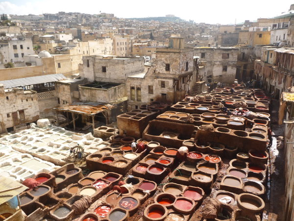 The tanneries