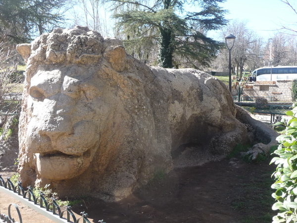 Stone Lion at Ifrane