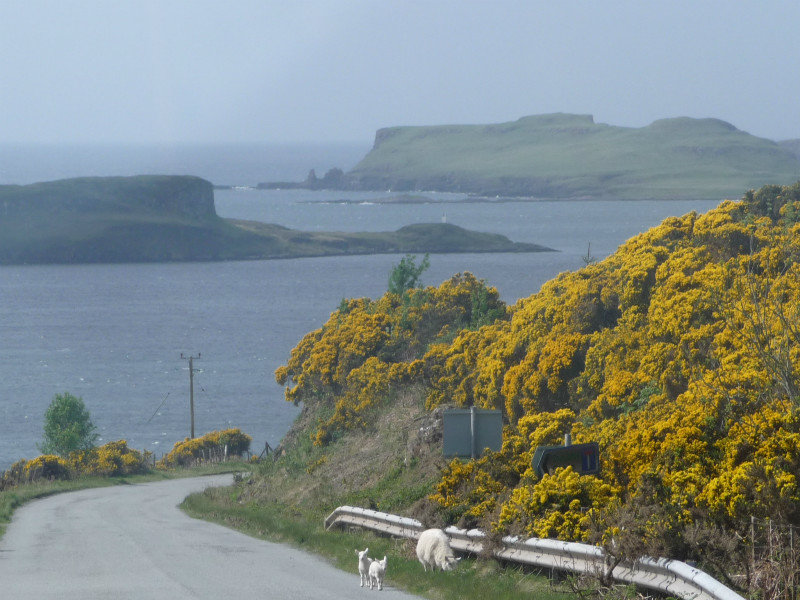 Fort William to Isle of Skye 031
