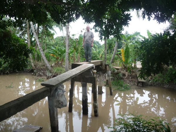 Monkey Bridge in the Mekong Village