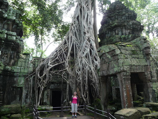 The Jungle Temple