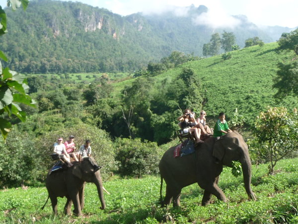 On the elephant trek