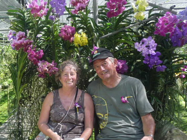 At the Orchid Farm