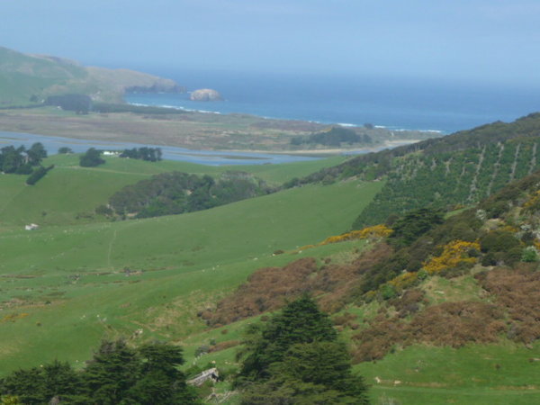 Otago Peninsular