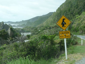 West Coast of NZ 210