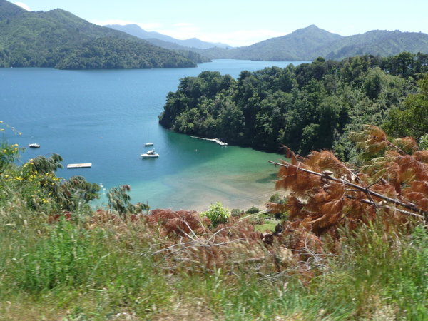 On the road from Havelock to Picton