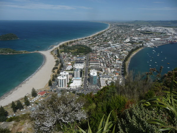 View from top of Mt Maunganui