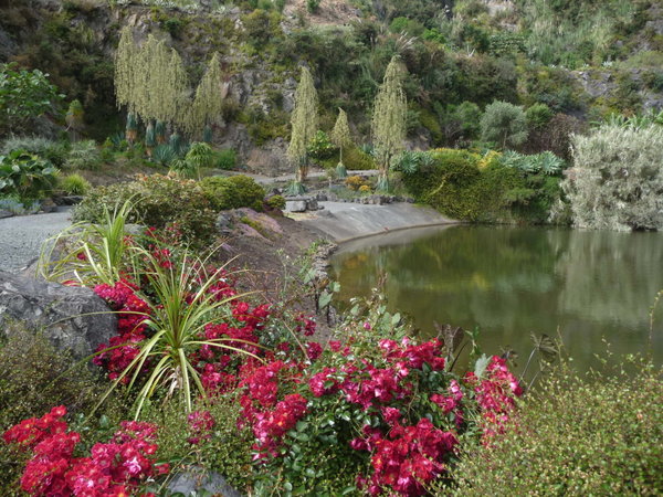 Whangarei Quarry Gardens