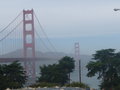 Golden Gate Bridge in the fog!