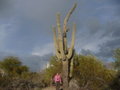 Saguaro cactus in the garden!
