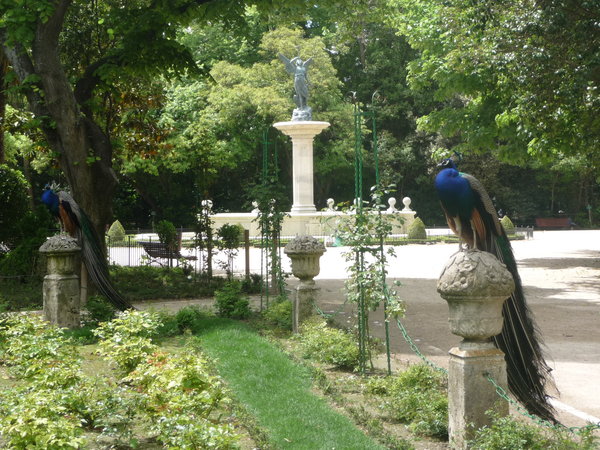 Park at Valladolid