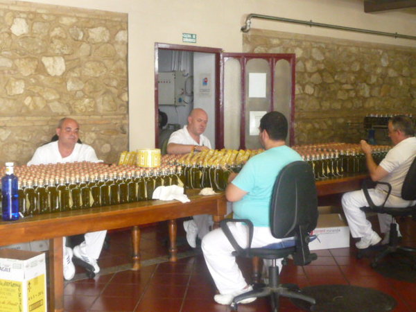 Baena - At the Olive Oil factory