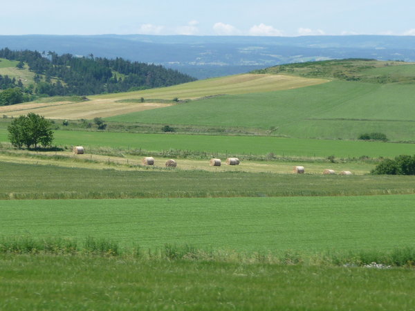 View of the Countryside