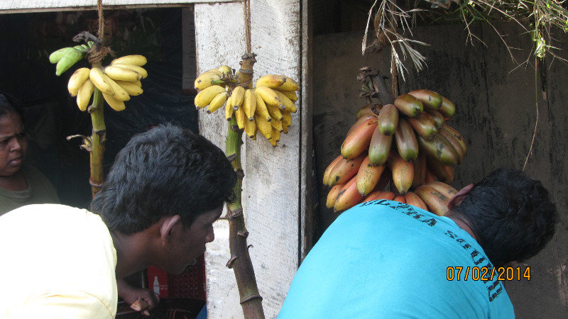 Buying the red bananas
