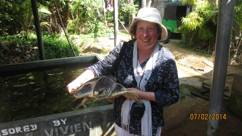 Me holding an 8kg turtle!!