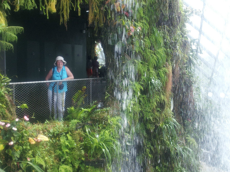 Me at the Cloud Forest
