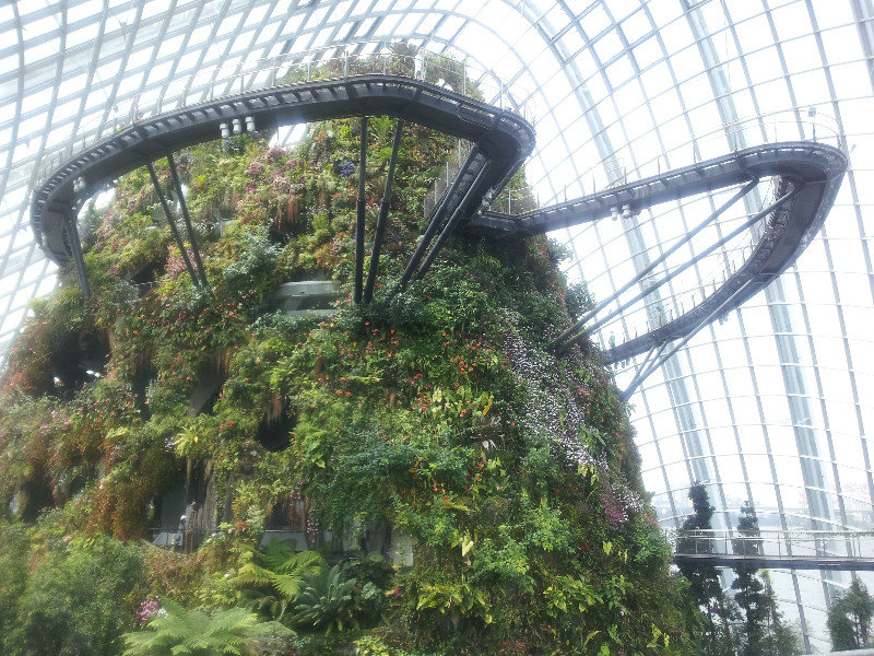 Sky Walk in the Cloud Forest