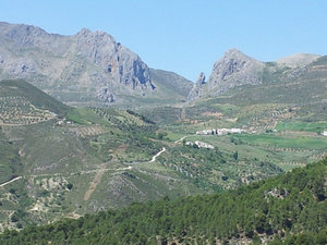 Walk - Zaffaraya to Alcaucin (1)