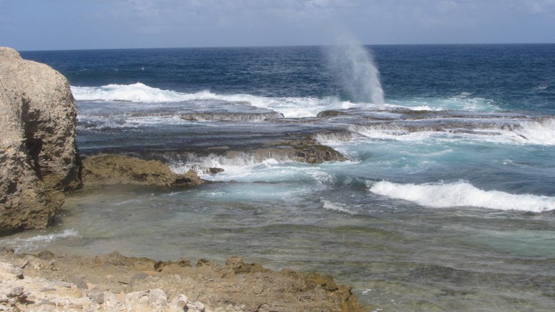 Blow Holes at Little Bay