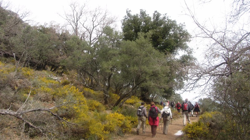 Walking up to the first Puerta