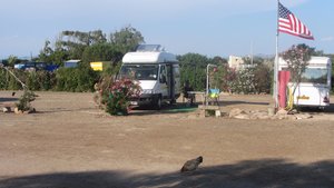 Our campsite near Calasetta