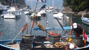 Fisherman at Portofino