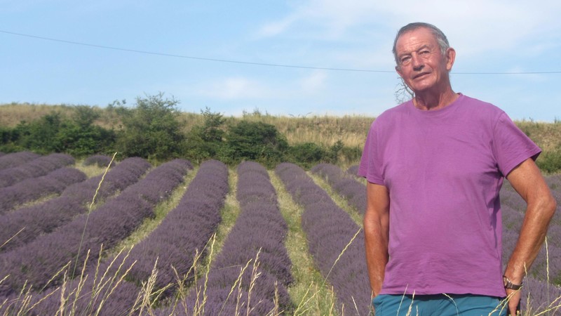 Chris in a lavender field!