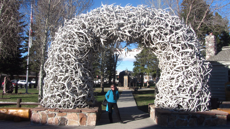 Jackson - arch made out of antlers