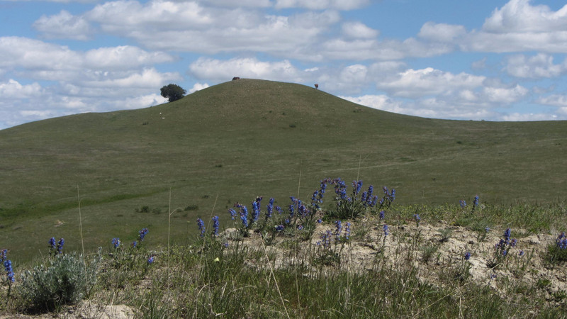 The rdge at Little Bighorn Battlefield