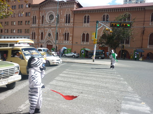 Zebra crossing in La Paz..literally!