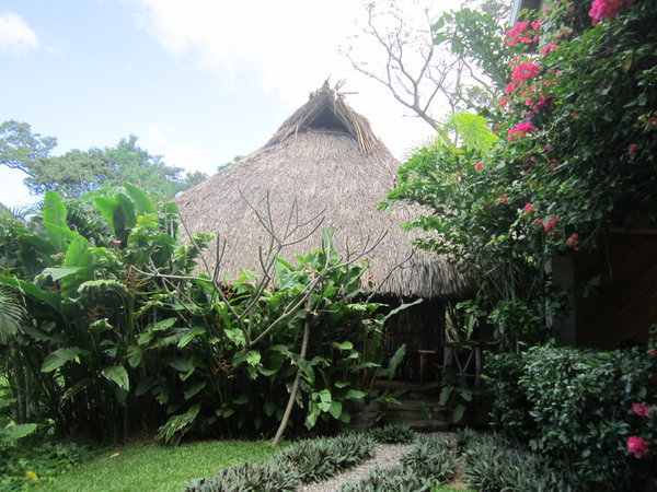 Our Palapa