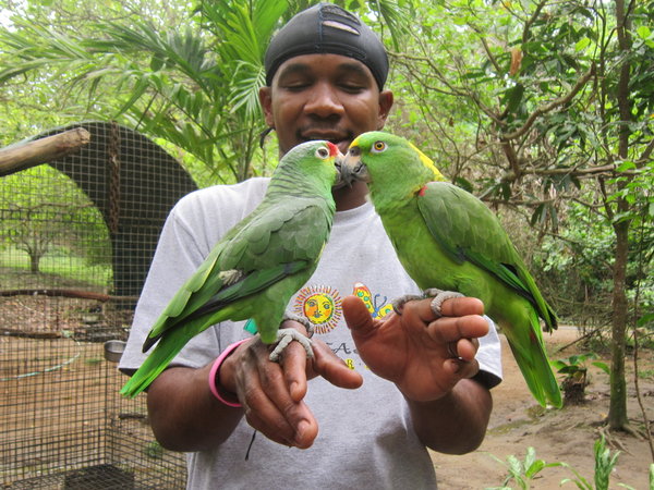 A Cute Pair of Parrots and Our Tour Guide