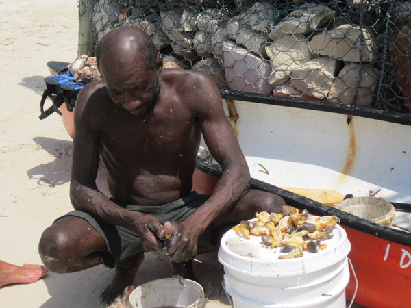 A Speer Fisherman cleaning his catch of conch