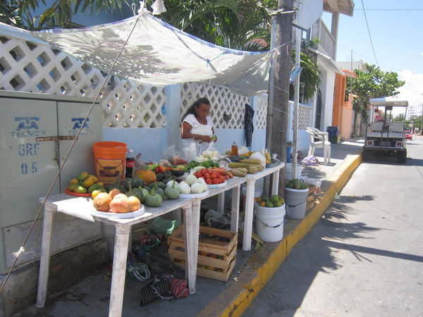 Vegetables and Fruits for Sale