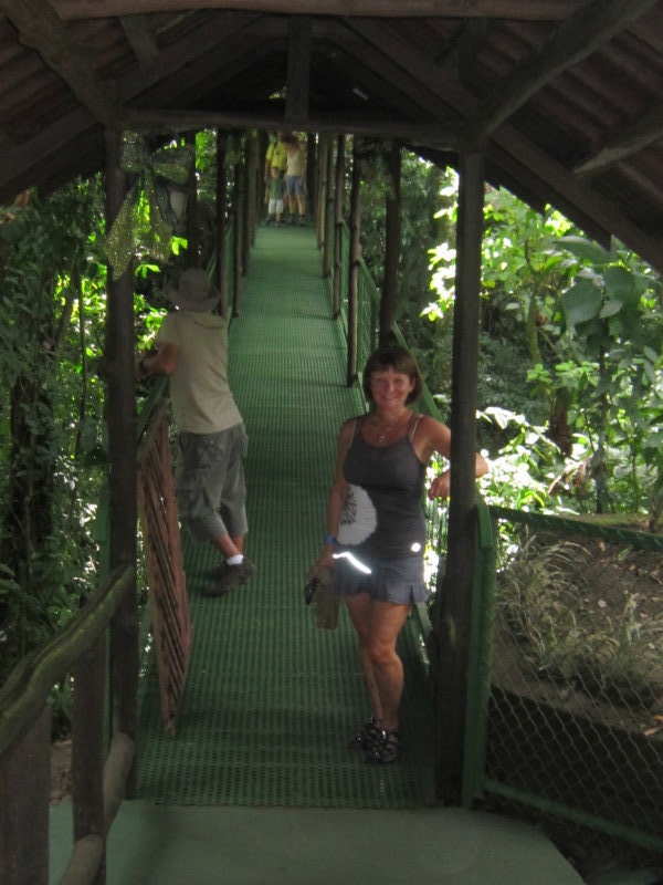 Entrance to the rain forest