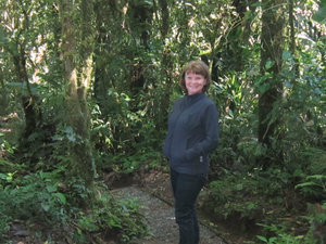 Walkng in the cloud forest