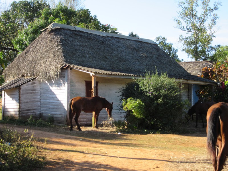 Typical farm house