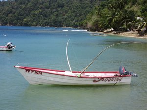 Typical fishing boats