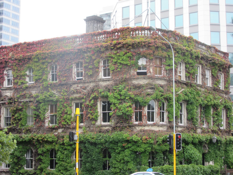 An interesting building in Auckalnd covered in vines