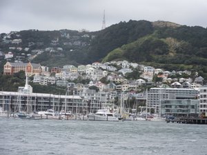 A few pictures of Wellington