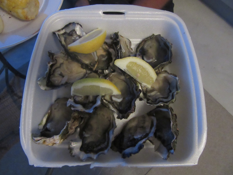 Fresh oysters at our doorstep!
