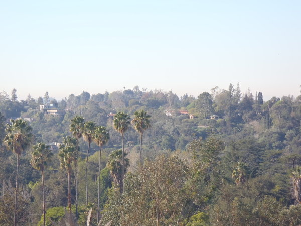 vue dans Pasadena